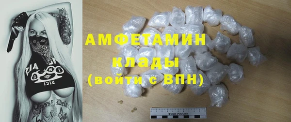шишки Заволжье