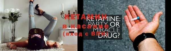 шишки Заволжье