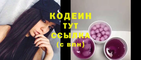 не бодяженный Заводоуковск