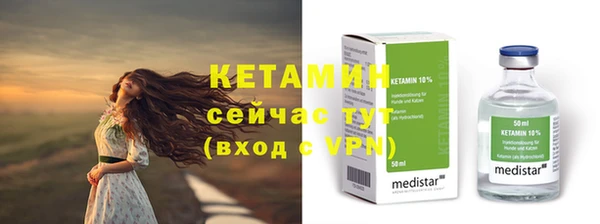 шишки Заволжье