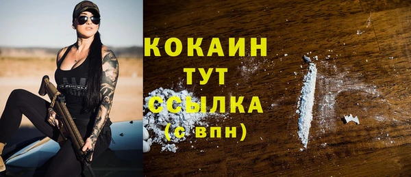 не бодяженный Заводоуковск