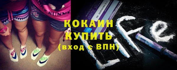 не бодяженный Заводоуковск