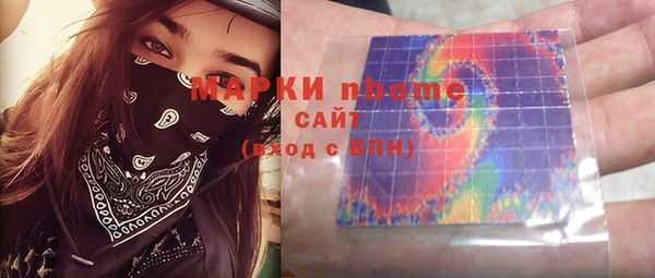 шишки Заволжье