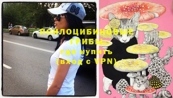 шишки Заволжье