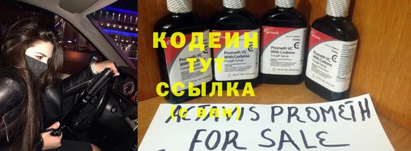 шишки Заволжье