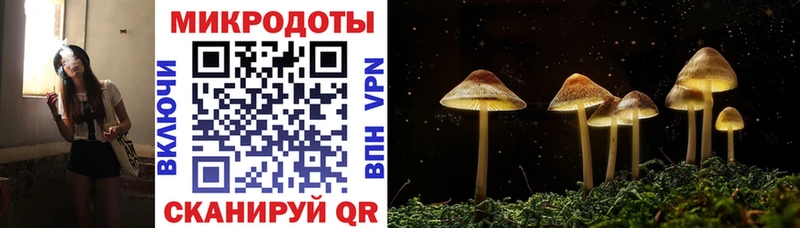Галлюциногенные грибы MAGIC MUSHROOMS  Купить закладки  Кирс 